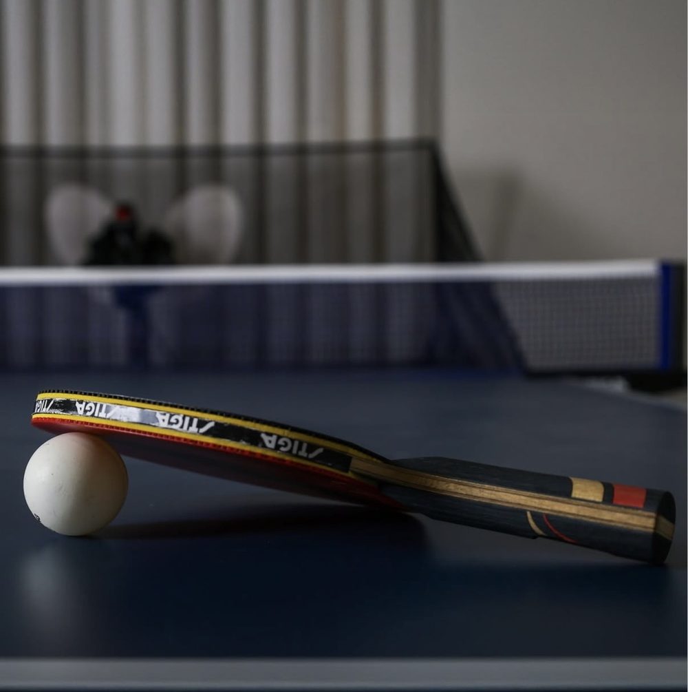 Ping pong robot